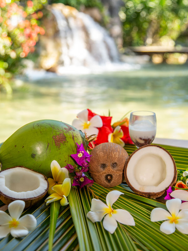 Island Culture & Coconut Experience