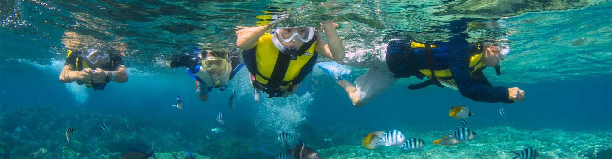 Piti Bay Marine Preserve Eco Snorkeling Tour