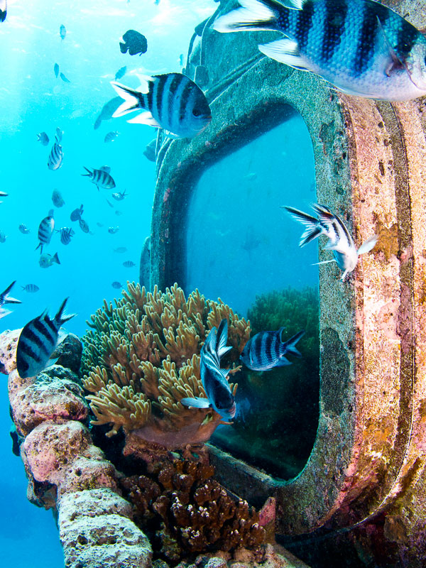 Underwater Observatory Image 1